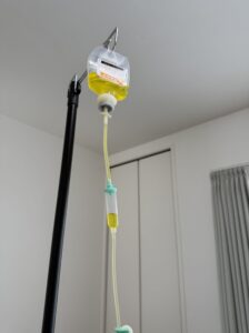 ３月の予約受付開始